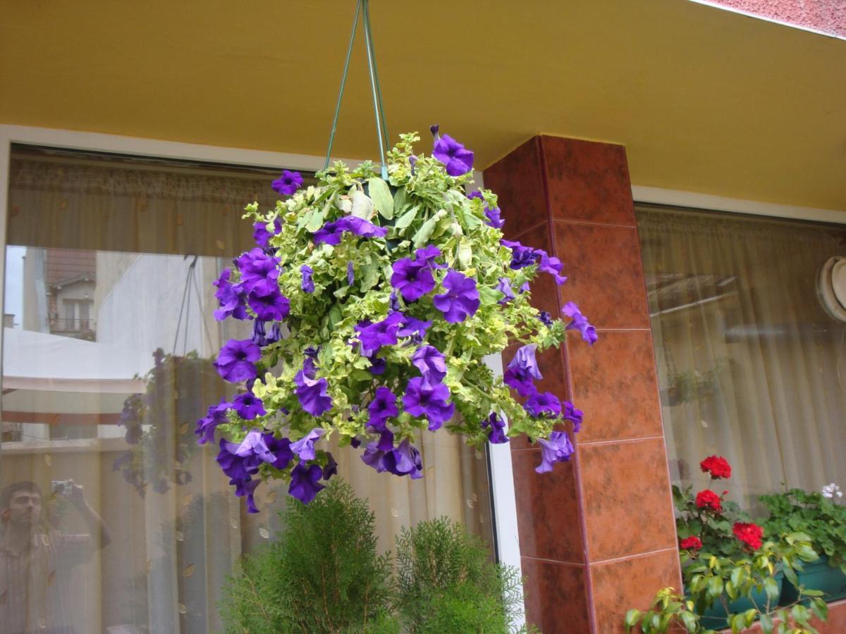 Hotel Color Варна Экстерьер фото